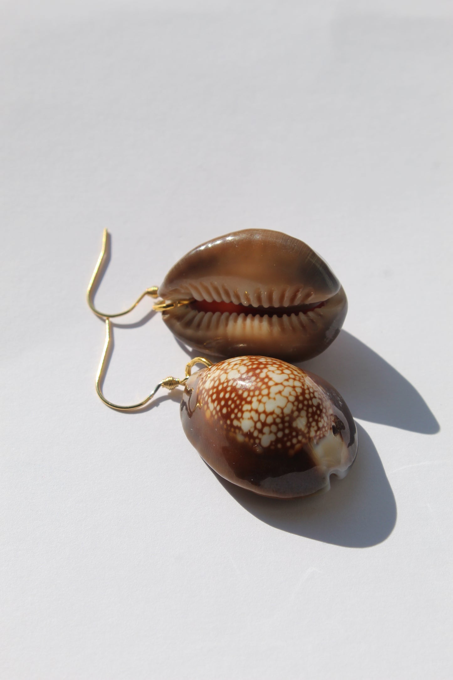 Omari || Brown Cowrie Shell Earrings